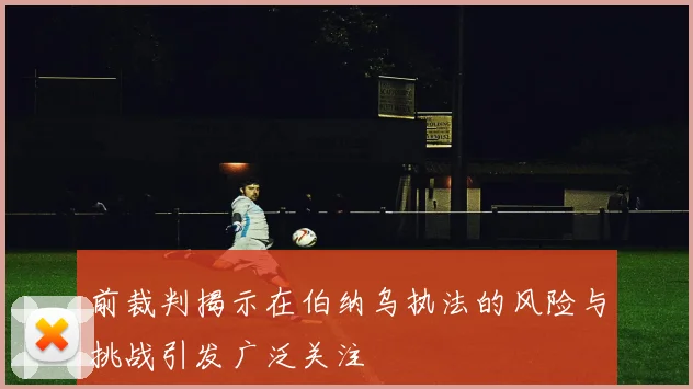 前裁判揭示在伯纳乌执法的风险与挑战引发广泛关注