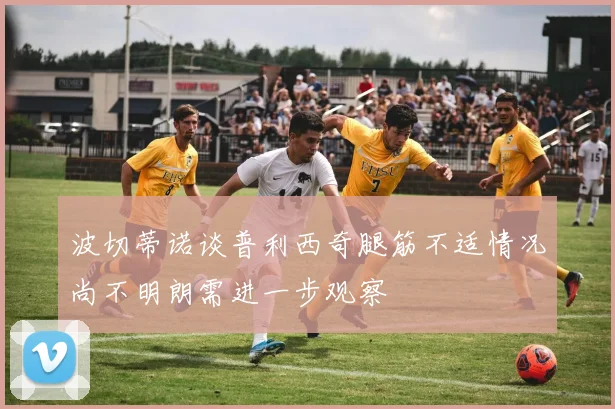 波切蒂诺谈普利西奇腿筋不适情况尚不明朗需进一步观察