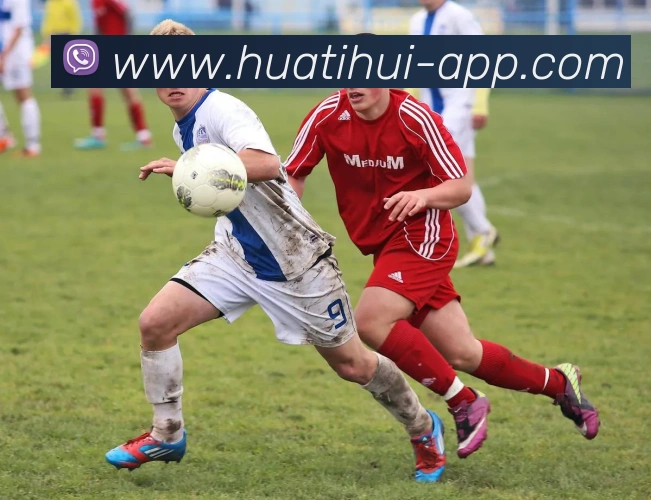 多媒体互动体验