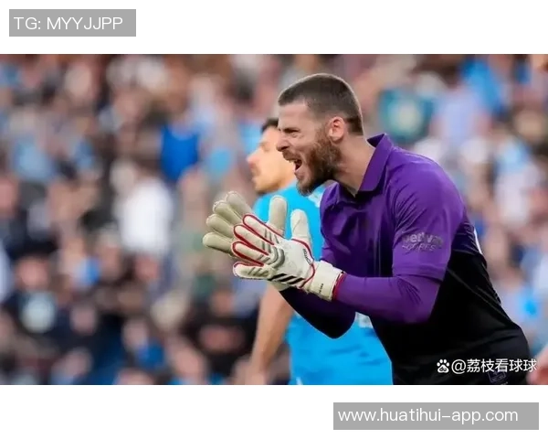 德赫亚加盟紫百合薪资高昂但球队保级前景堪忧未来发展成疑 德赫亚加盟紫百合薪资高昂但球队保级前景堪忧未来发展成疑